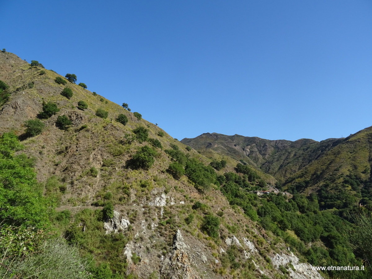 nte Scuderi-05-09-2020 09
